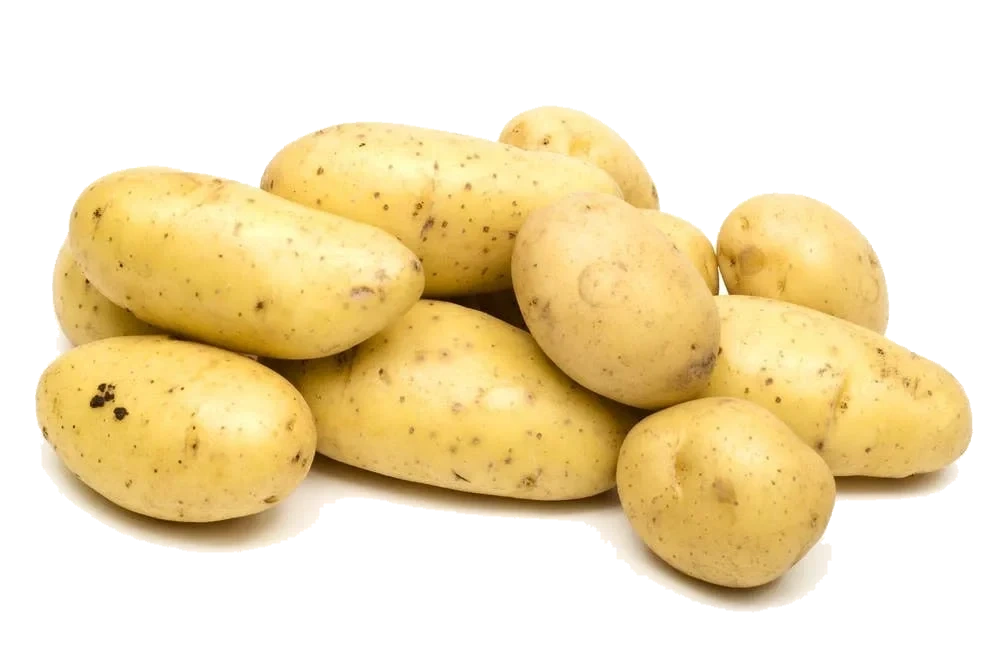 Nypotet