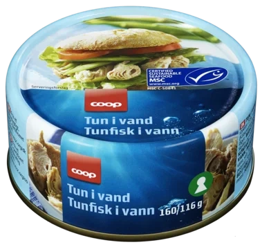 Tunfisk i Biter