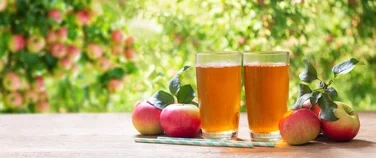 Eplejuice 10l Lerum