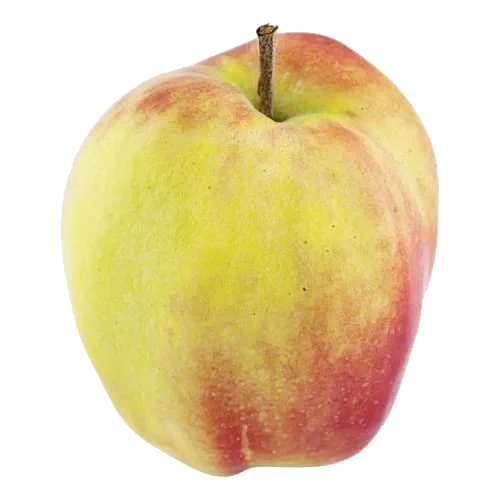 Äpple Gloster Klass 1