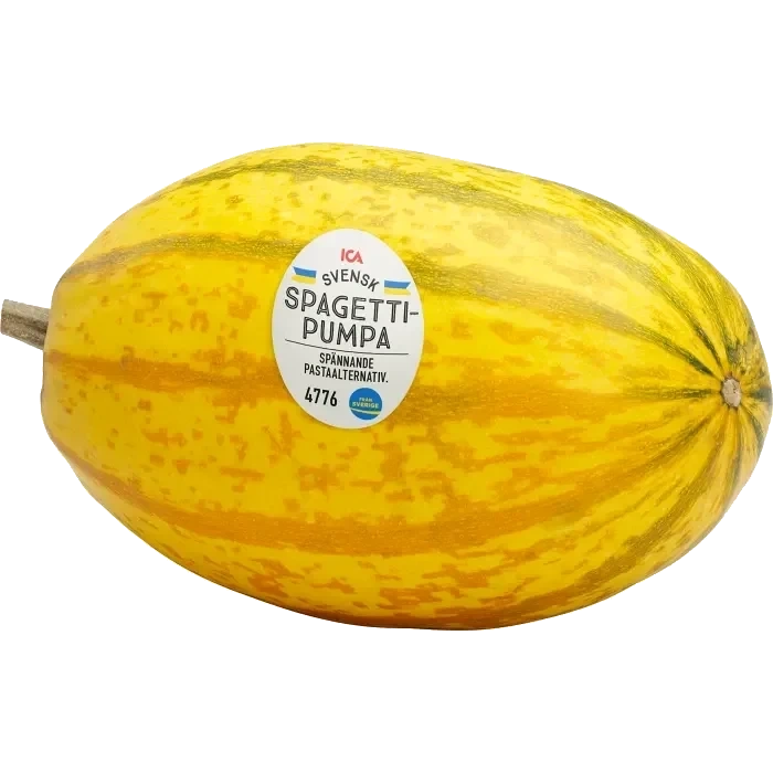 Pumpa Spagetti 1 pack Klass 1 ICA