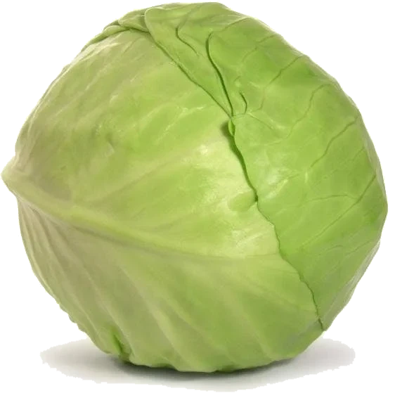Økologisk Hodekål