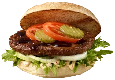 Hamburger Basic 45x160g