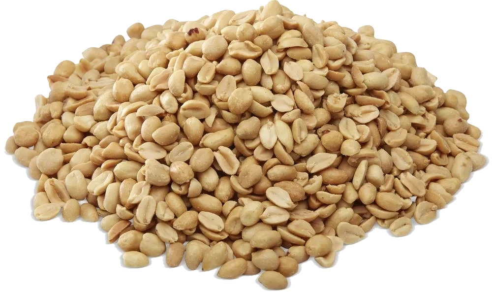 Peanøtter