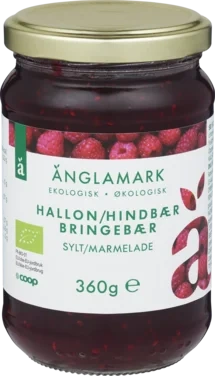 Raspberry Jam