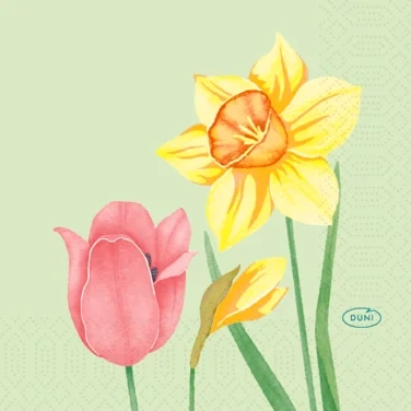 Serviett 3l24cm Spring Melody