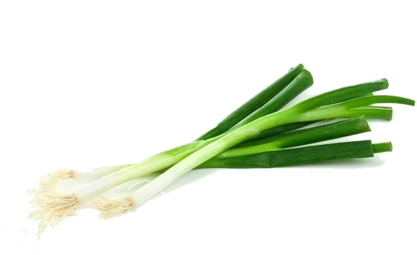 Vårløk i Bunt