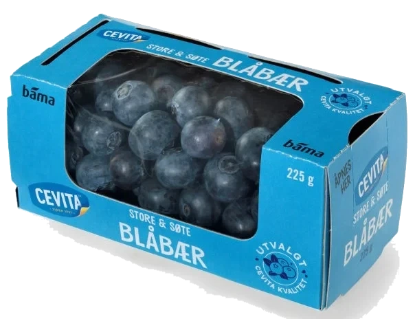 Blåbær i Beger 225g