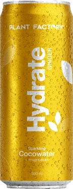Hydrate Ginger 0,33l