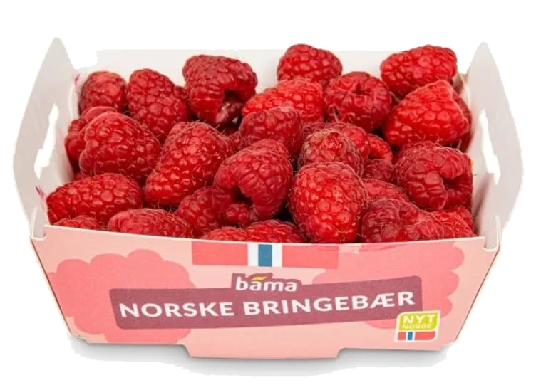 Bringebær 300g Gartner