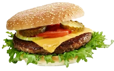 Norsk Hamburger 200g