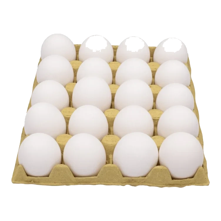 Egg Frittgående M 20stk Toten