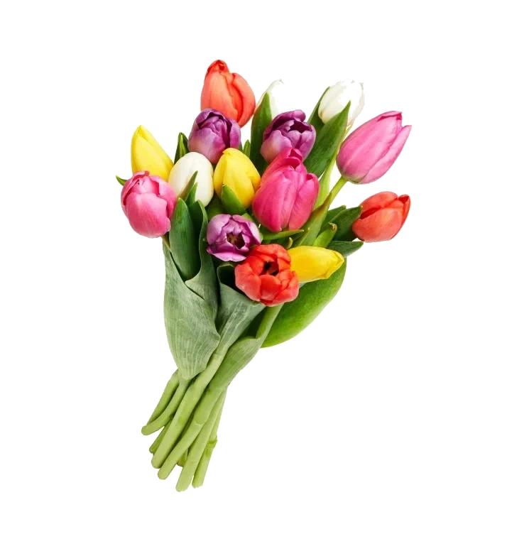 Tulipan 20 pakke Miks