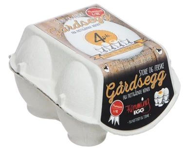 Flemming Egg 4 Pk L/xl Gårdsegg