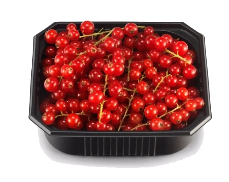 Rips 200g Økologisk