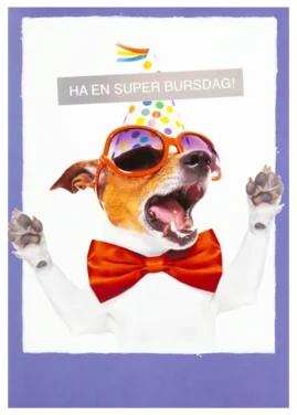 Kort P2 117x166mm Hund med Partyhatt Linea