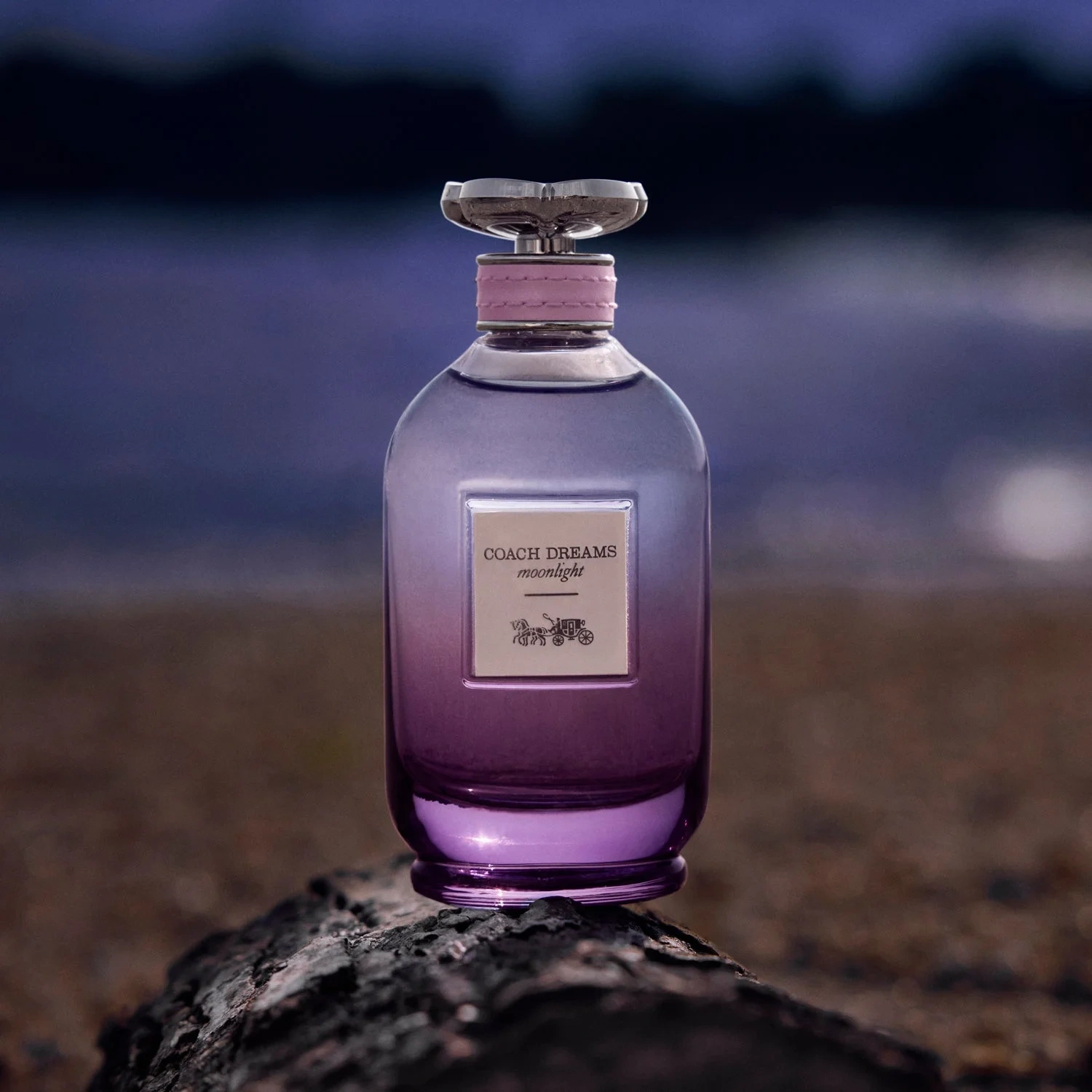 Coach Dreams Moonlight Eau de Parfum 60 ml