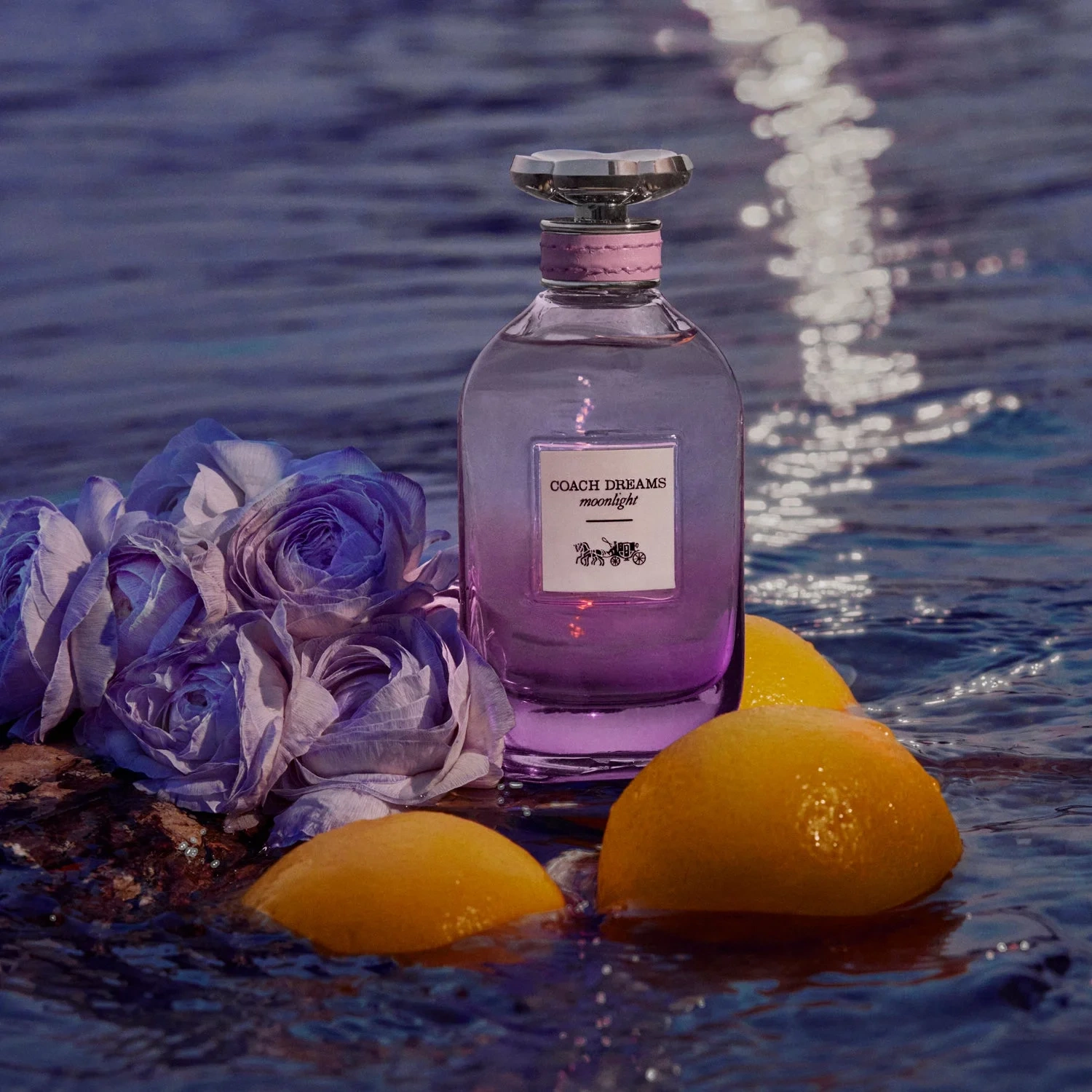 Coach Dreams Moonlight Eau de Parfum 60 ml