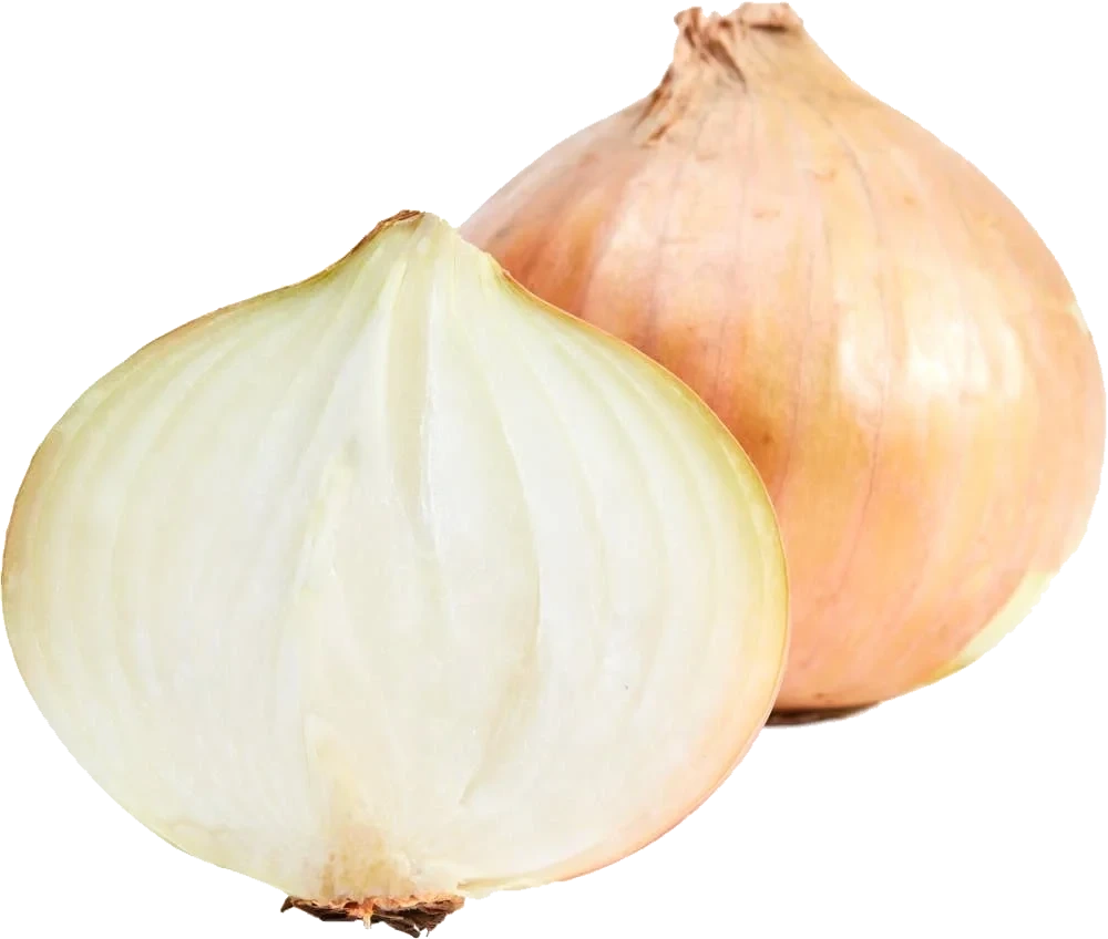Økologisk Gul Løk