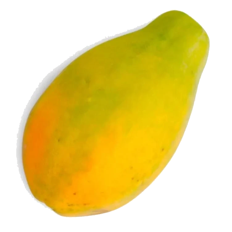 Papaya Stor stykk