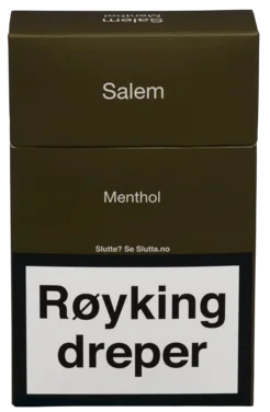 Salem Menthol Classic 20pk