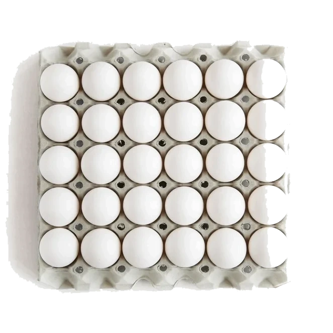 Egg Medium 30 Stk