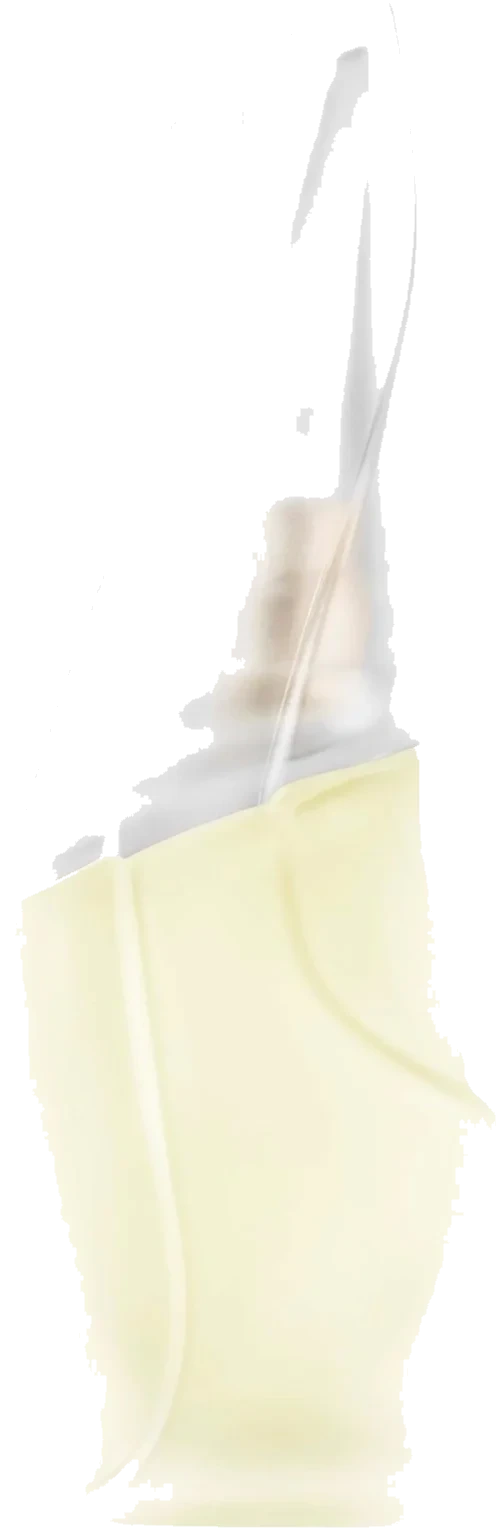 DKNY Cashmere Mist Eau De Toilette 30 ml