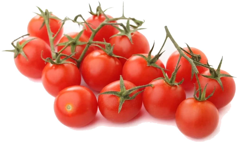 Økologiske cherrytomater
