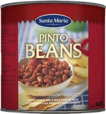 Pinto Beans 2550g Santa Maria