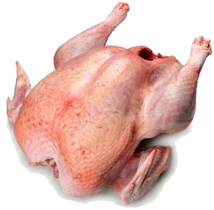 Kalkun hel Økol Ca5-7kg Frys Black Turkey