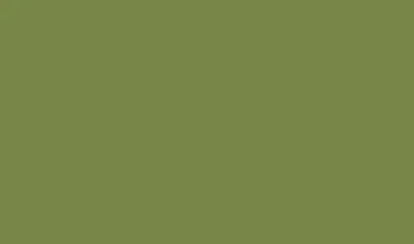 Serviett 3lags 33cm Leaf Green 1/8brettet