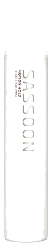 Sassoon Motion Hold 300 ml