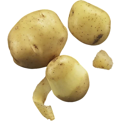 Potatis Mjölig King Edvard
