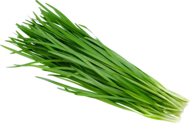 Guichai Leaves 80g So Fresh