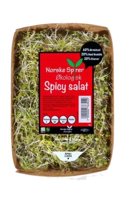 Spirer 75g Spicy Salatmiks Øko