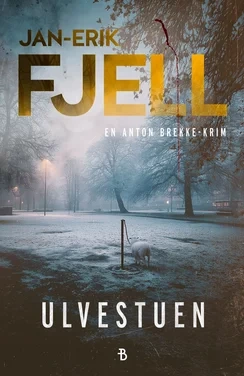 Ulvestuen Böcker