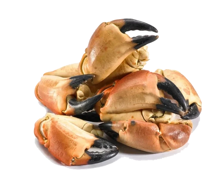 Krabbeklør bestilles pr stykk á ca.100g