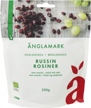 Raisins Organic