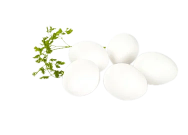 Egg 30 ml Frittgående 8x30stk 15,12kg