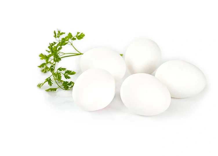 Egg 30 ml Frittgående 8x30stk 15,12kg