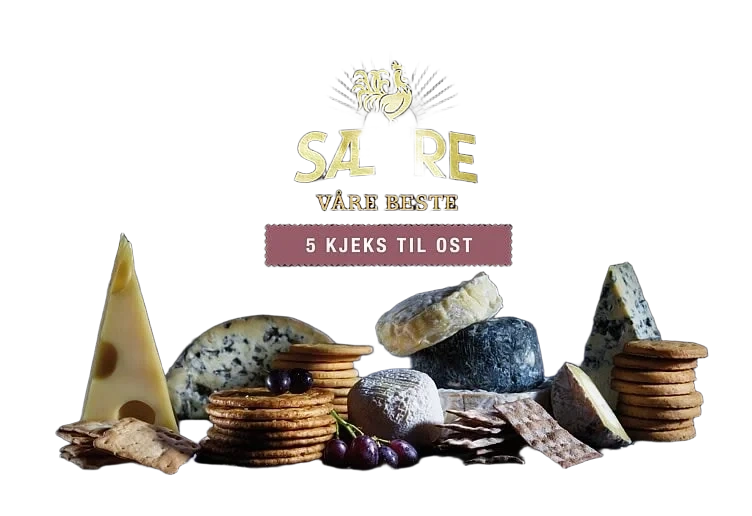 Sætres 5 Beste Kjeks Til Ost 170g