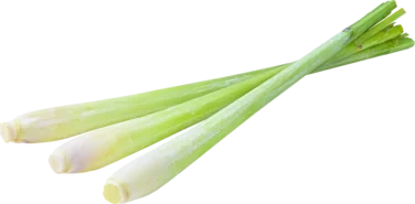 Lemongrass 80g So Fresh