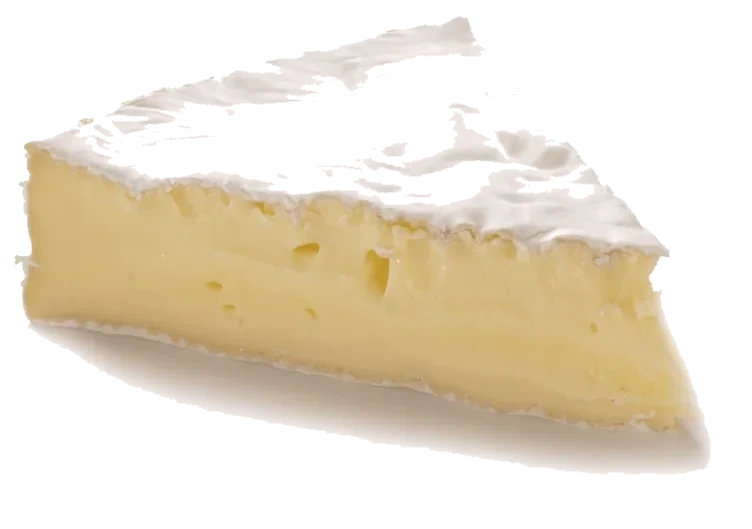 Brie Økologisk Dovre pr Kg