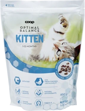 Cat Food Dry Kitten