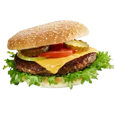 Hamburger Spesial 160g Slåtto