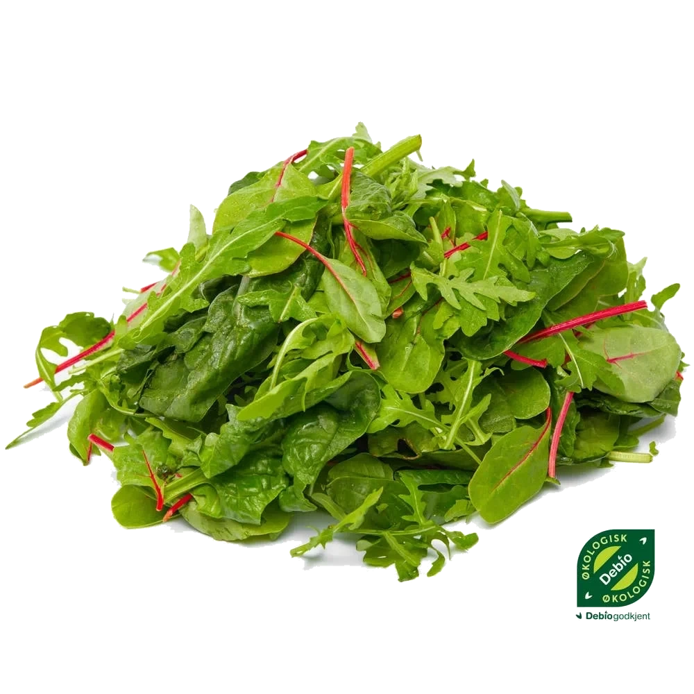 Salat Mix, økologisk, 75 gram
