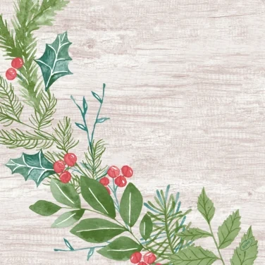 Serviett Dunisoft 40cm Winter Greene
