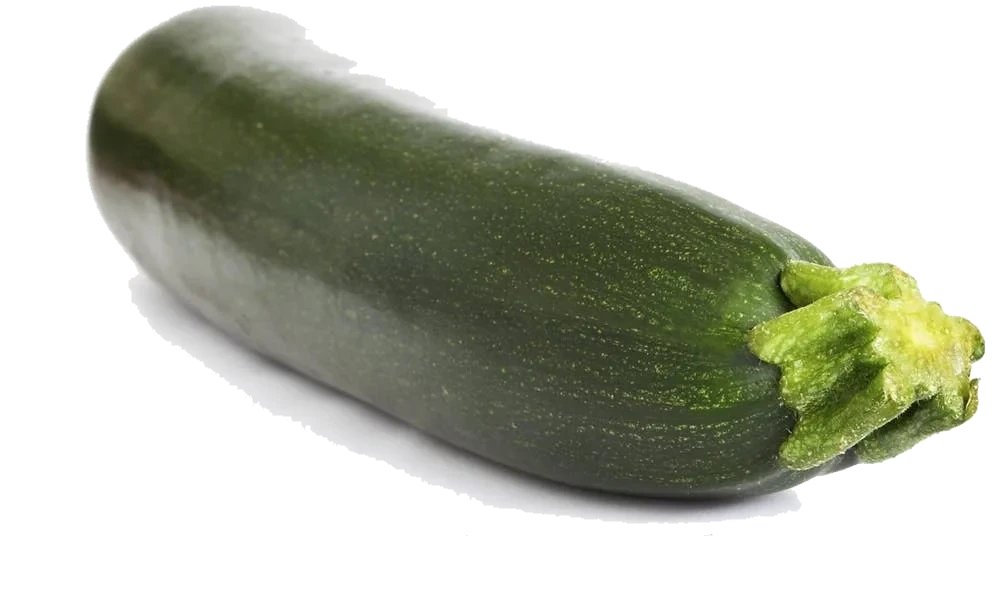 Squash Grønn