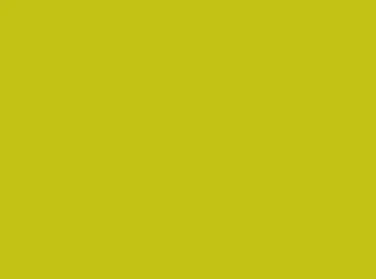 Bordbrikke Papir Kiwi 250stk