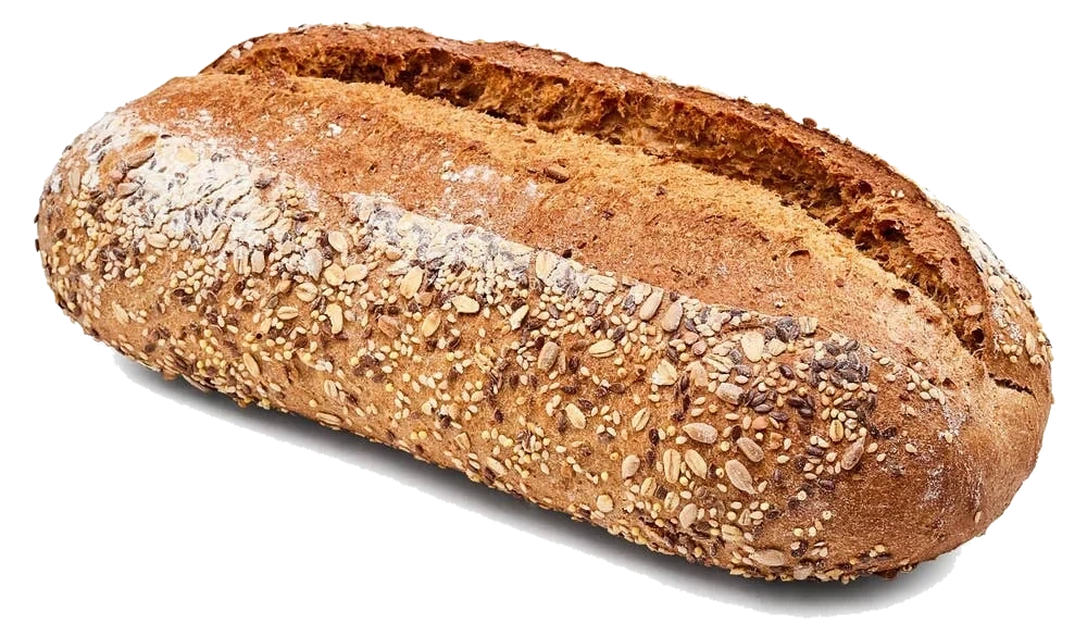 Steinovnsbakt frøbrød